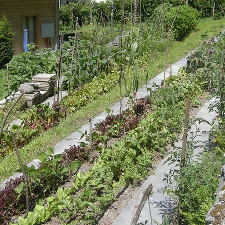 Eco-Hotel Cristallina Coglio Ngoại thất bức ảnh