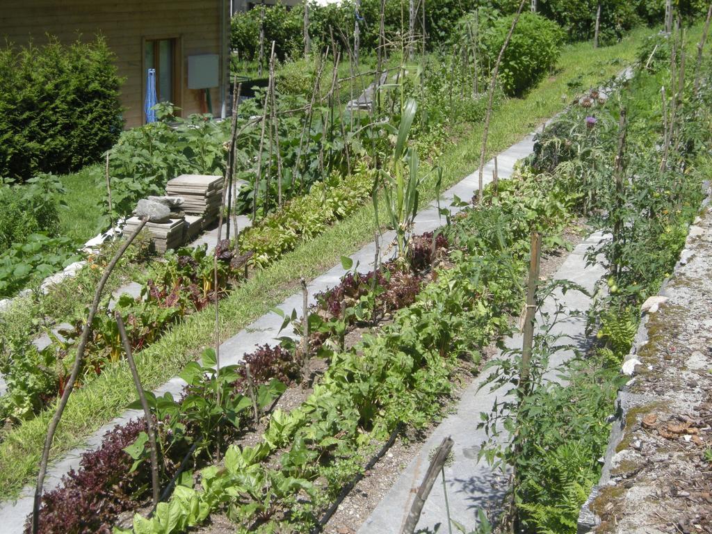 Eco-Hotel Cristallina Coglio Ngoại thất bức ảnh